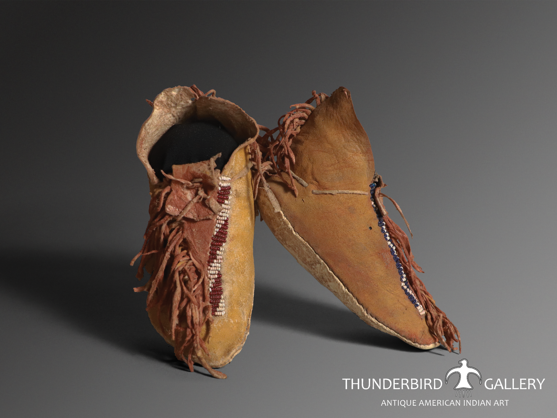 Thunderbird moccasins 2025