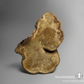 Ancestral Pueblo Burl Panel / Pre-1600