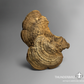 Ancestral Pueblo Burl Panel / Pre-1600